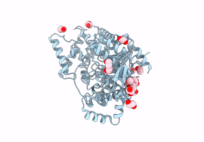 9KCT image