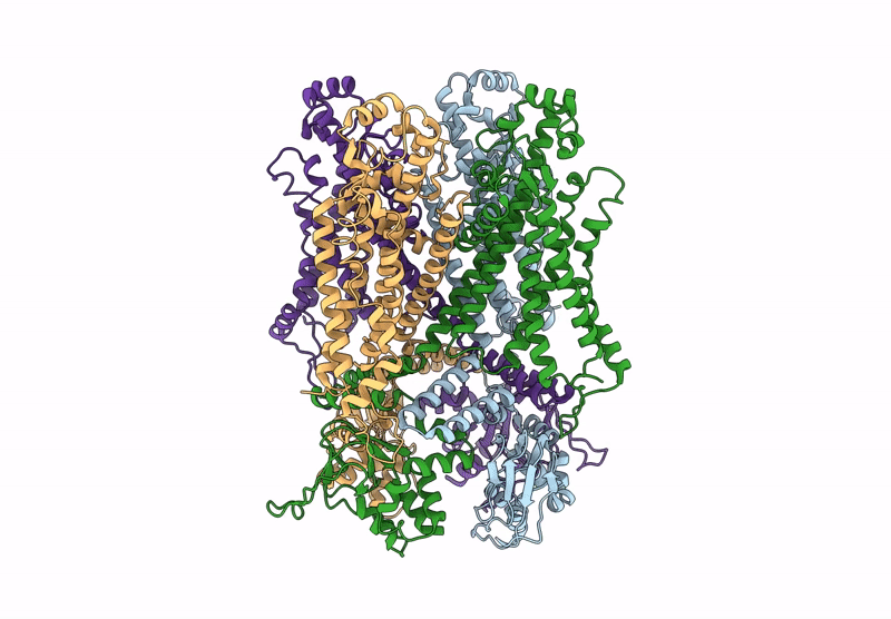 9KCV image