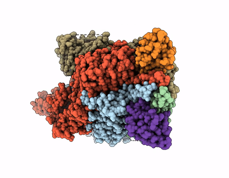 9KDC image