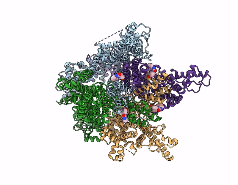 9KDD image