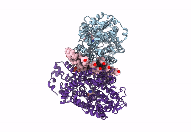 9KDM image