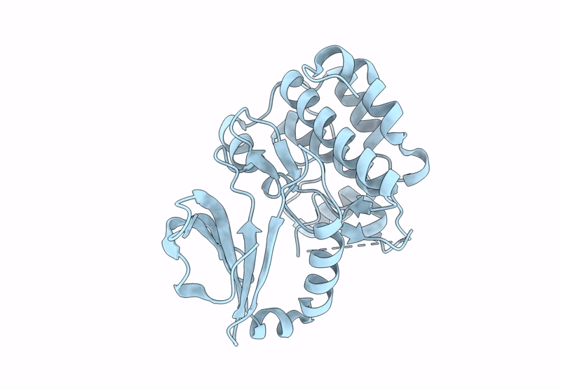 9KDS image