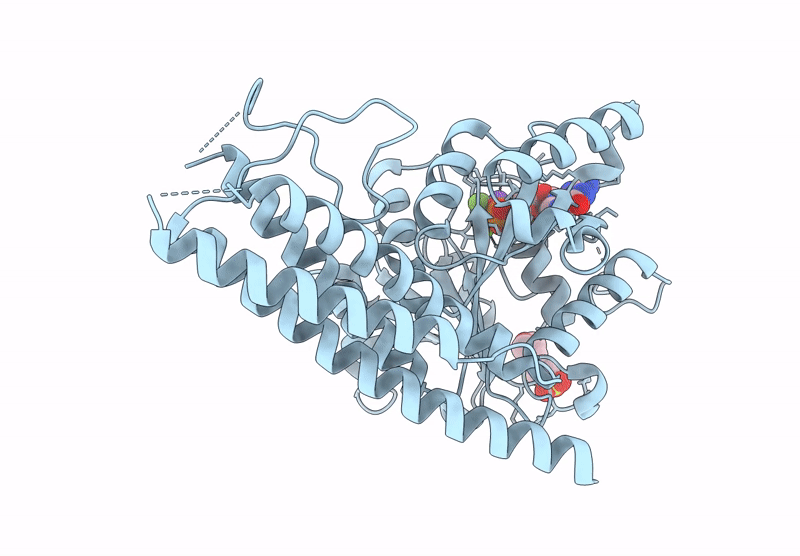 9KFF image