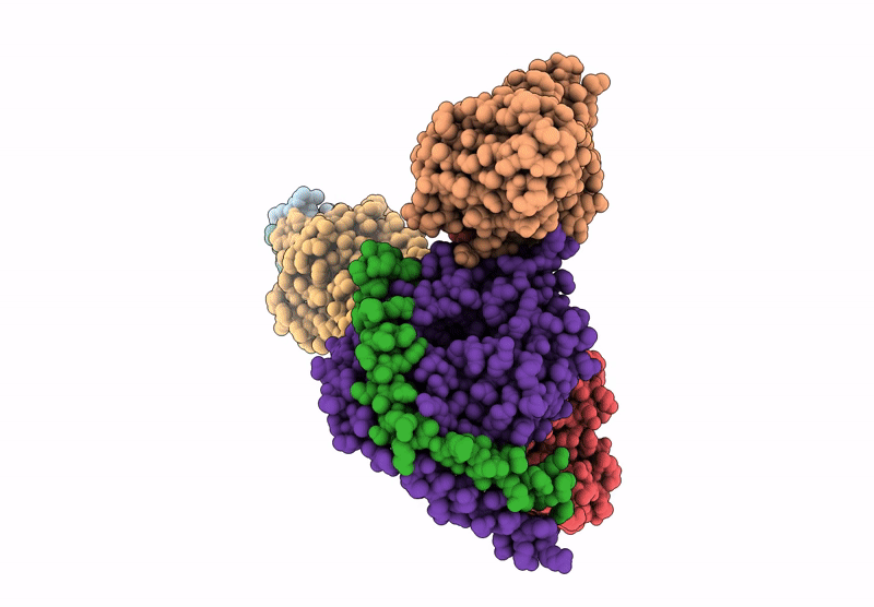 9KFK image
