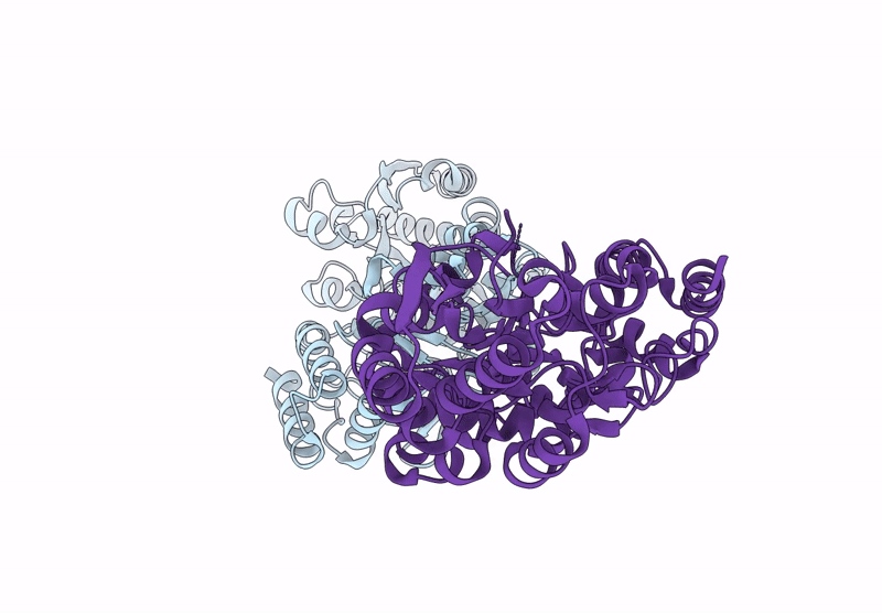 9KHA image