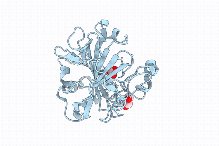 9KII image
