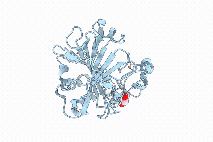 9KJ2 image
