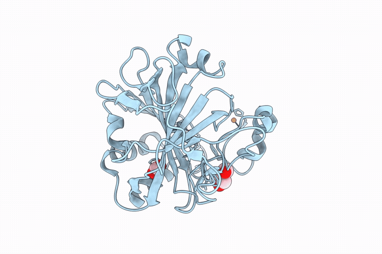 9KJ4 image