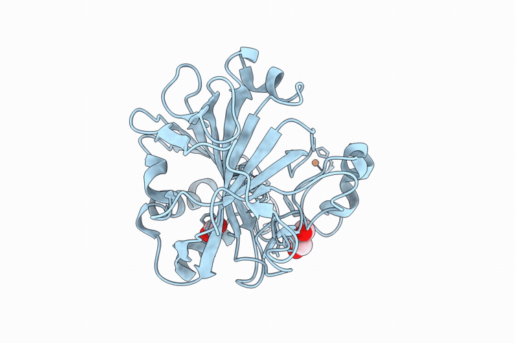 9KJ5 image