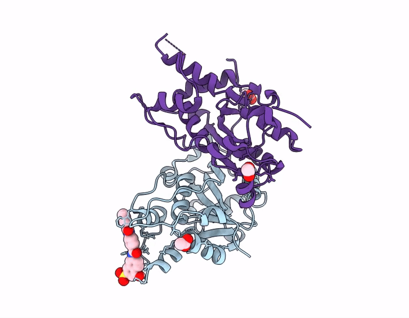 9KJO image