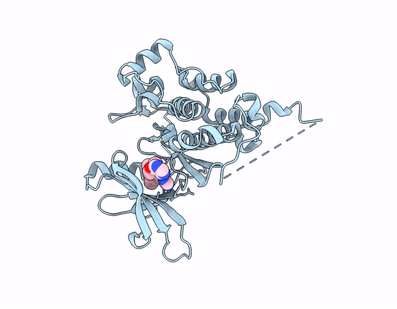 9KL4 image