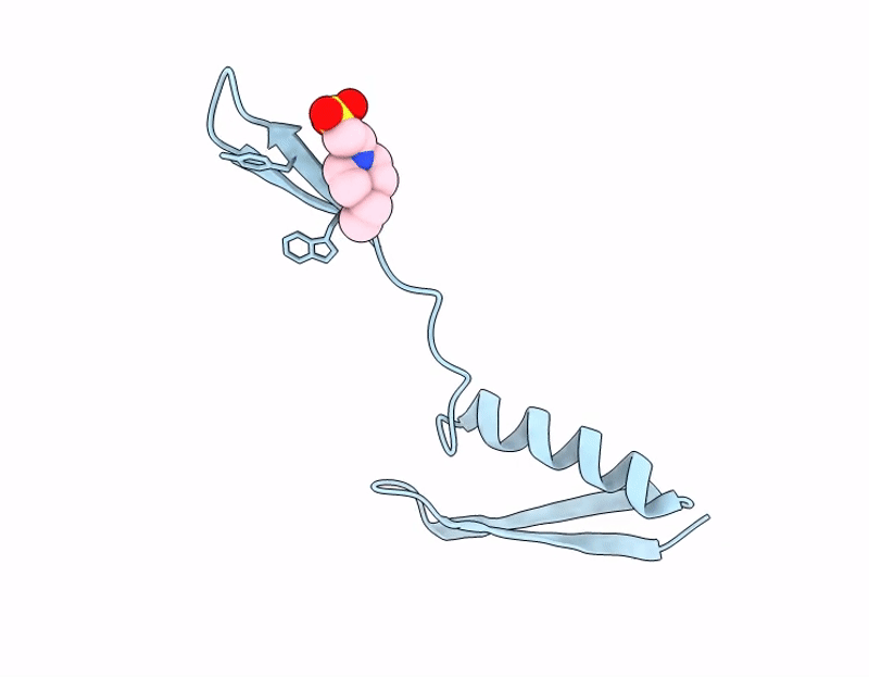 9KLT image