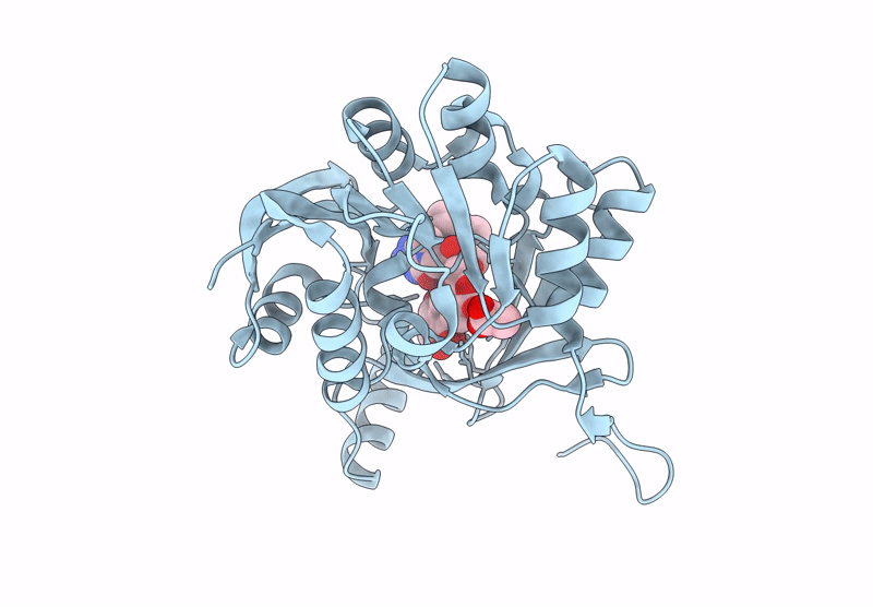 9KLX image