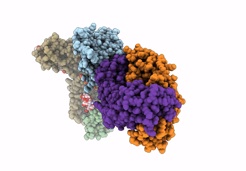9KMC image