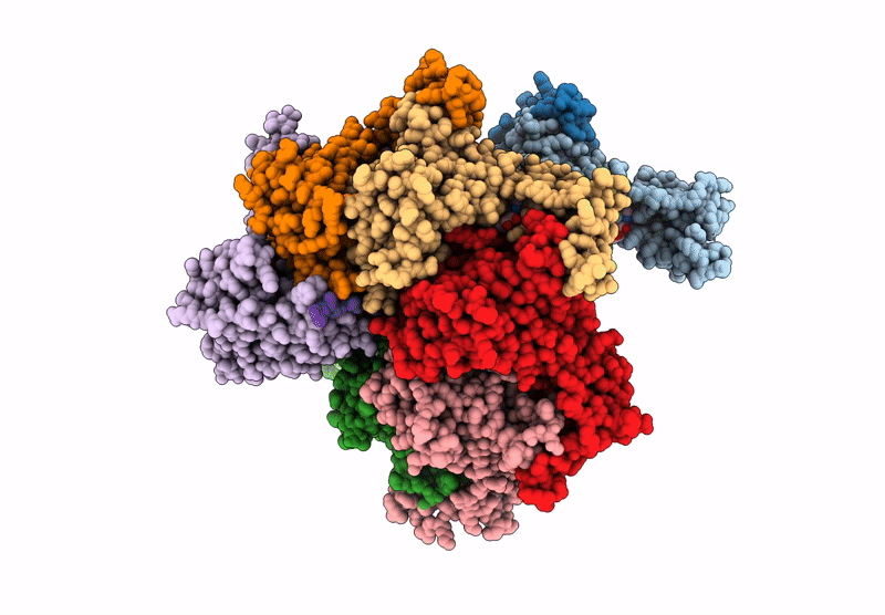 9KMD image