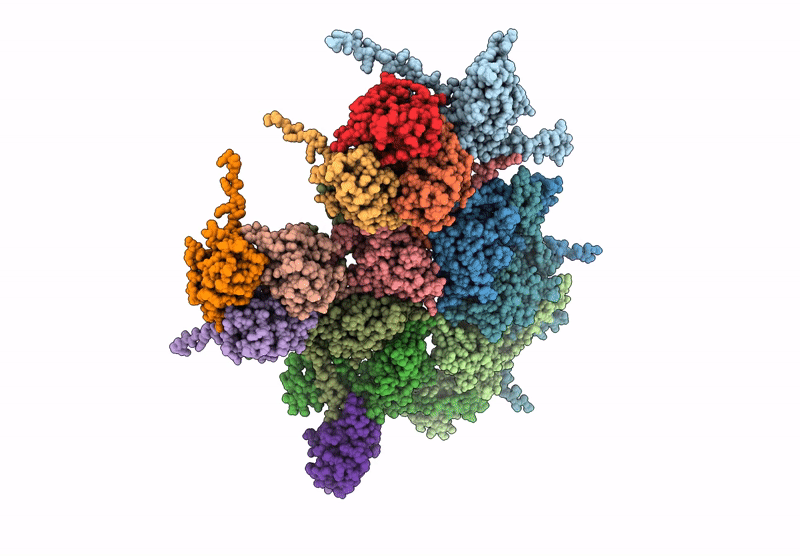 9KMG image
