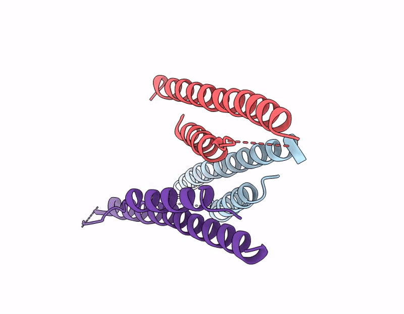 9KMO image