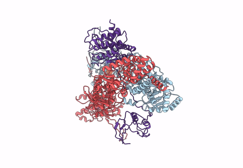 9KMR image