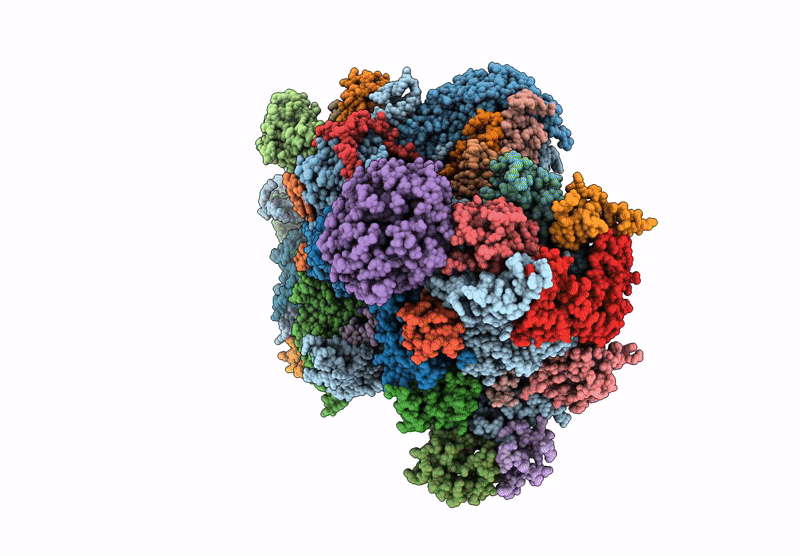 9KMT image