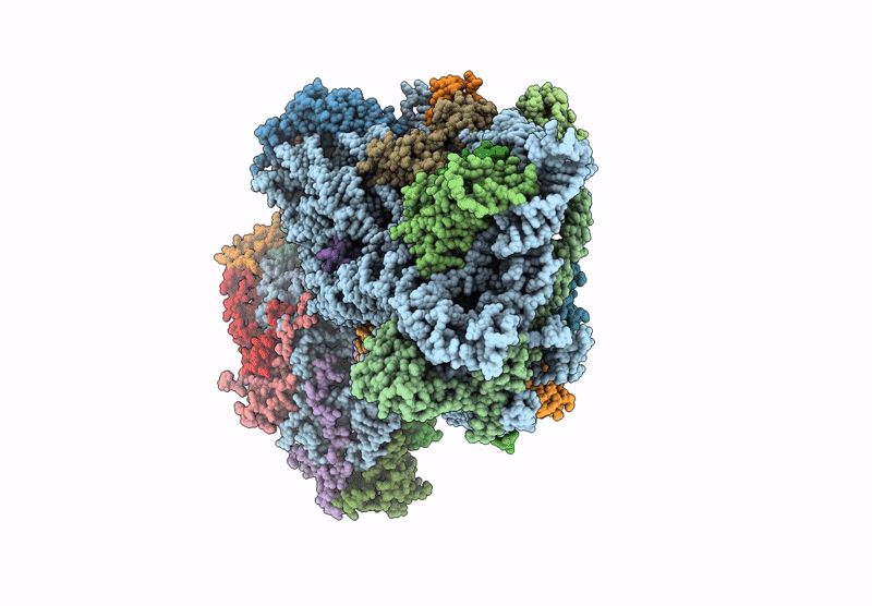 9KMX image