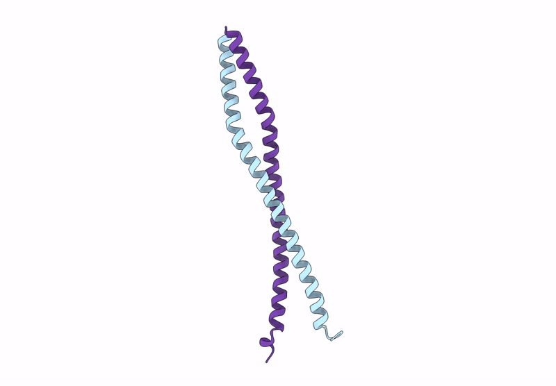 9KNS image