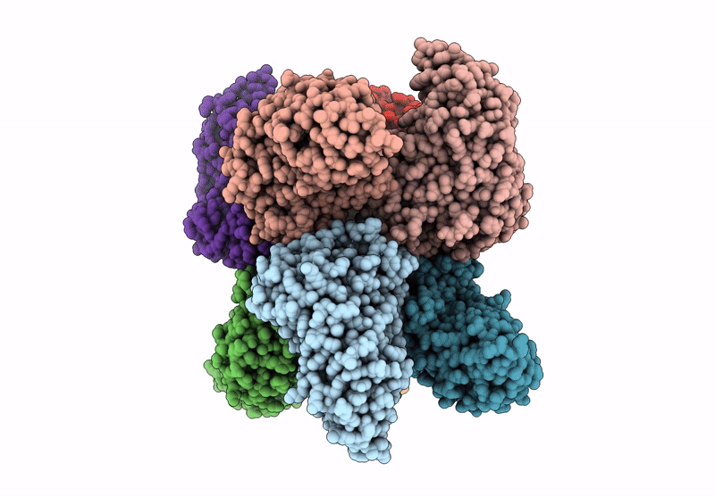 9KOV image