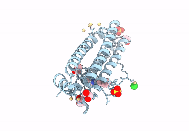 9KP2 image