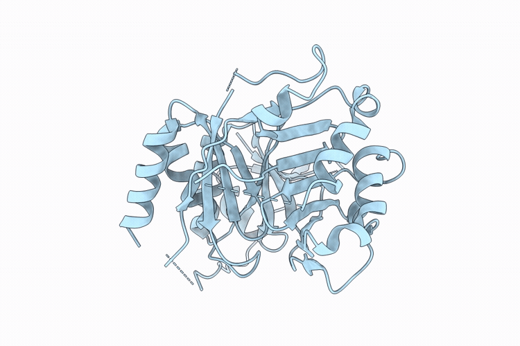 9KPB image