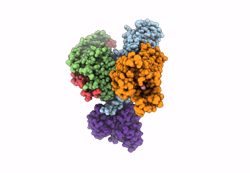 9KPF image
