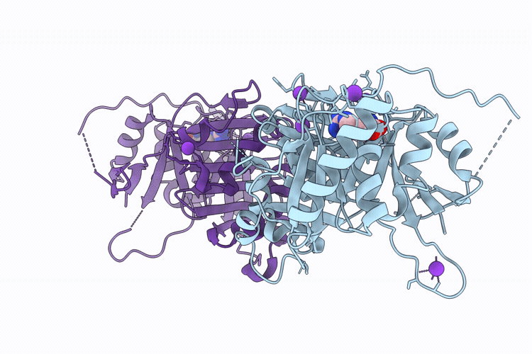 9KPG image