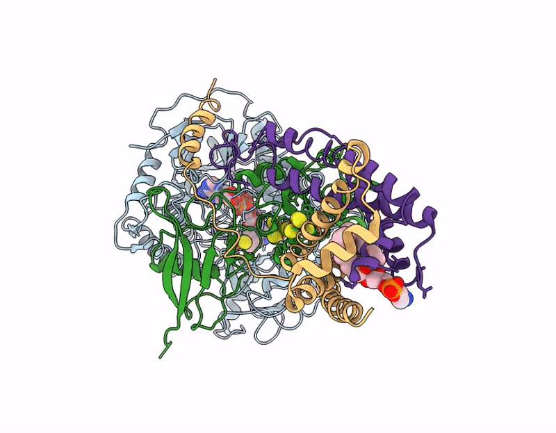 9KPS image