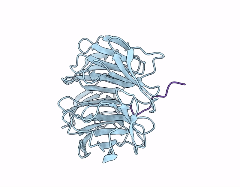 9KQS image