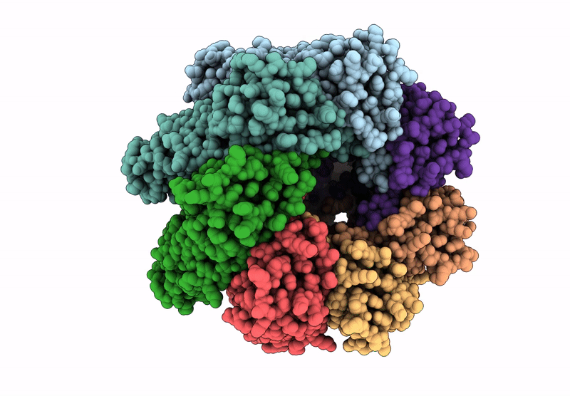 9KRF image