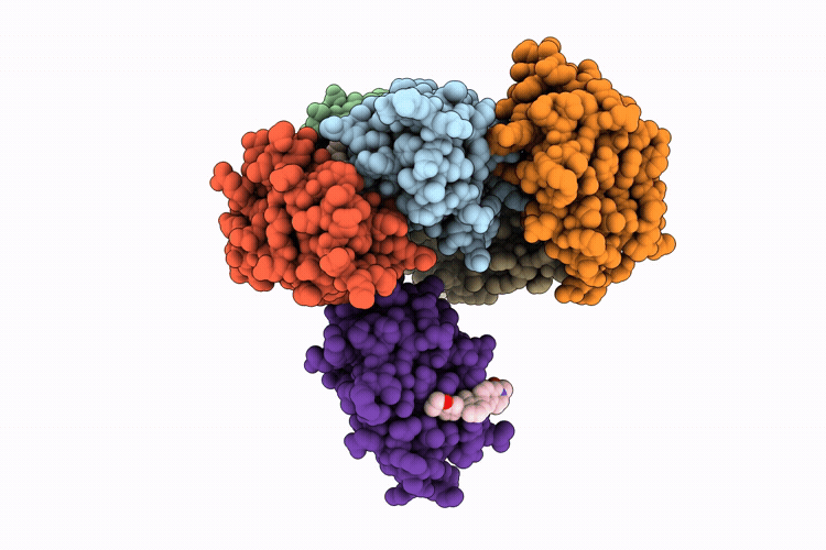 9KSB image