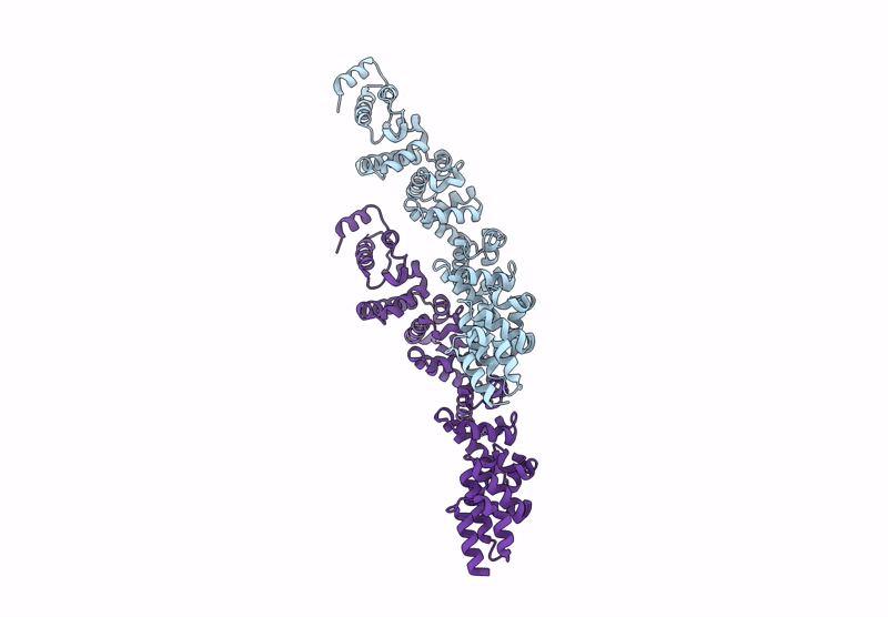 9KSG image