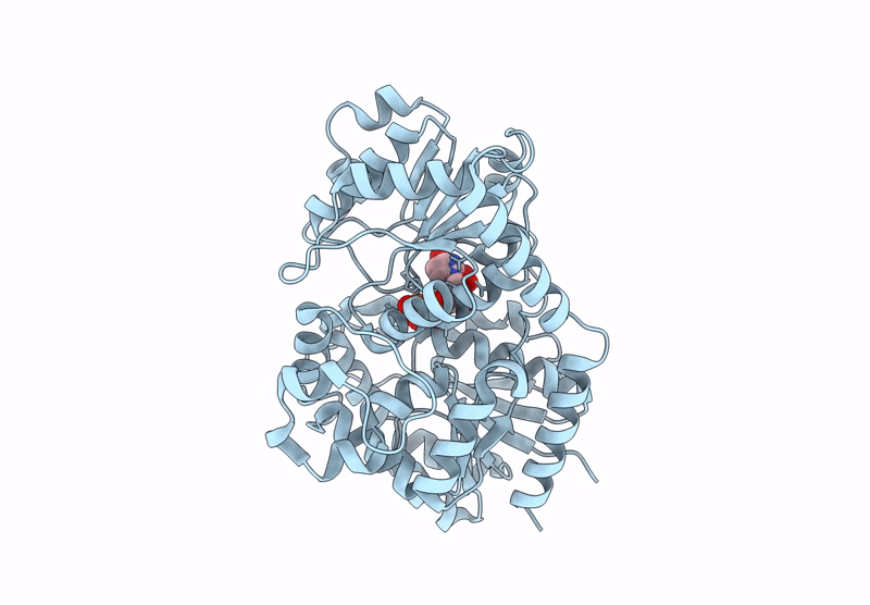 9KSM image