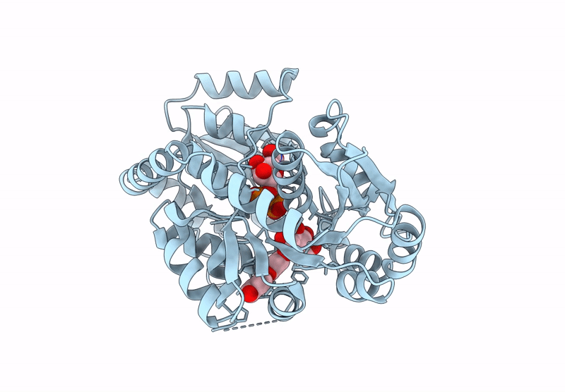 9KSV image