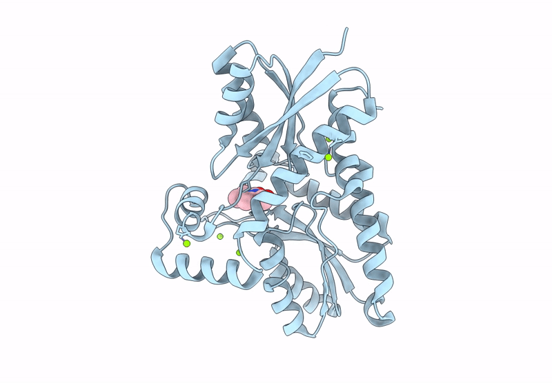 9KTB image