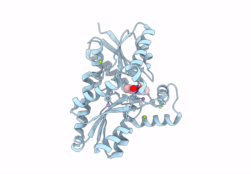 9KTC image