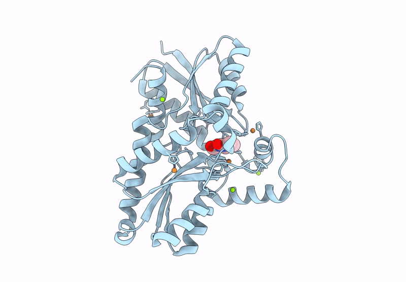9KTG image