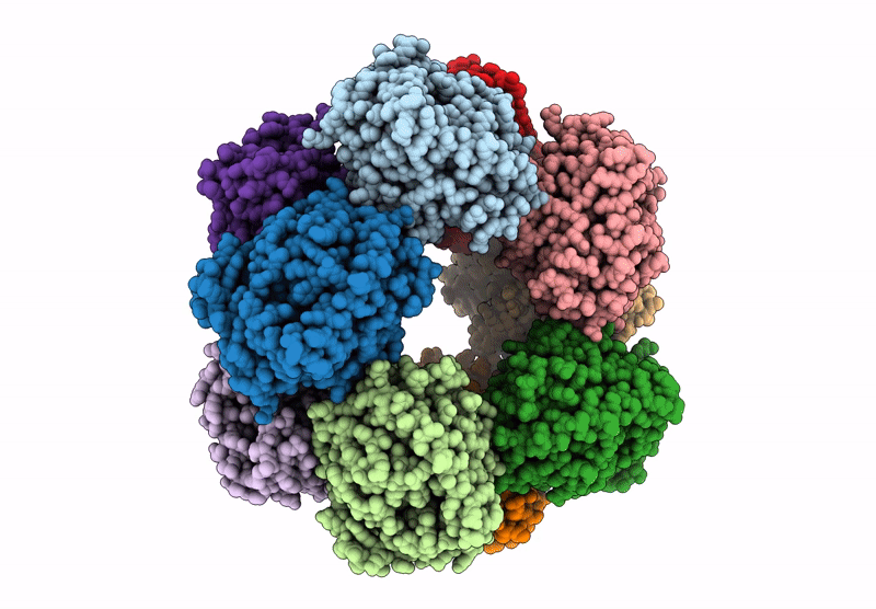 9KTI image