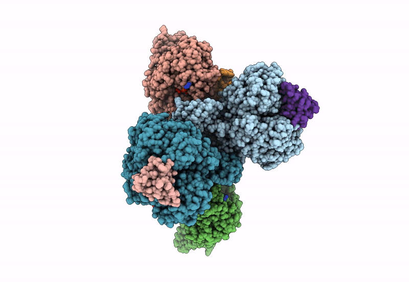 9KTL image