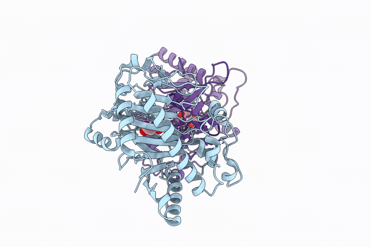 9KTP image