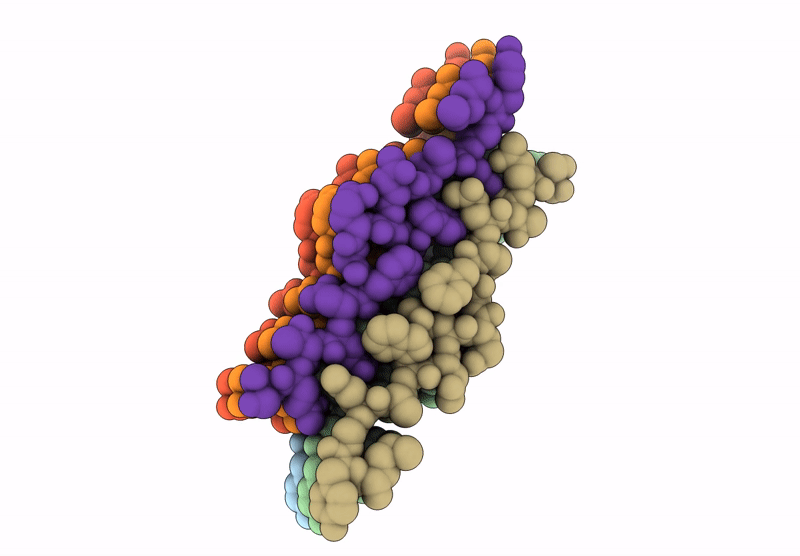 9KTZ image