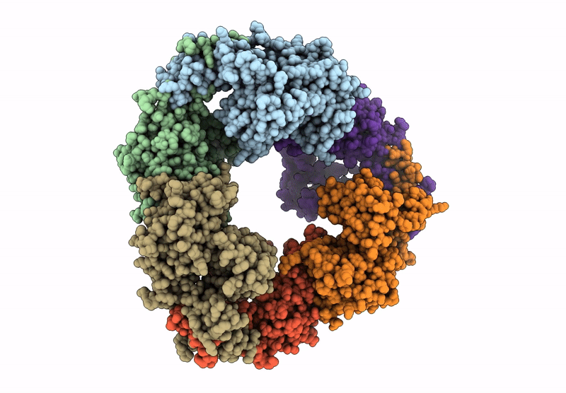 9KUB image