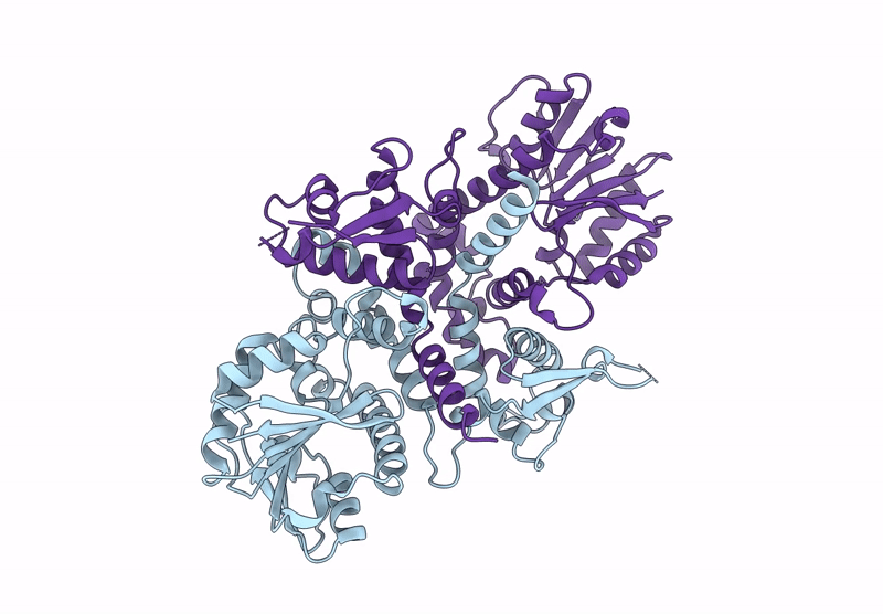9KUS image