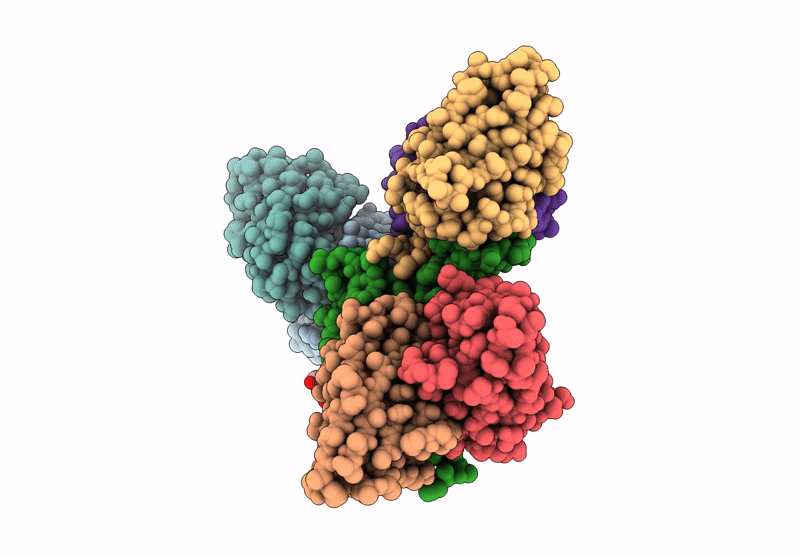 9KVD image