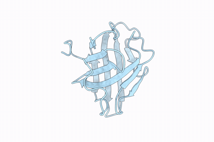 9KVN image