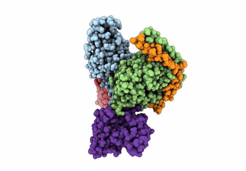 9KVP image