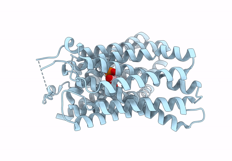 9KVV image